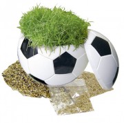 Football with field grass